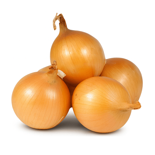 Лук репчатый